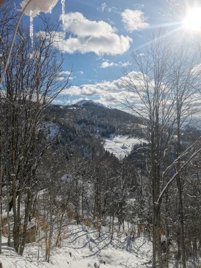 Vikendica Ceperkovic #1 Villa Kopaonik Bagian luar foto
